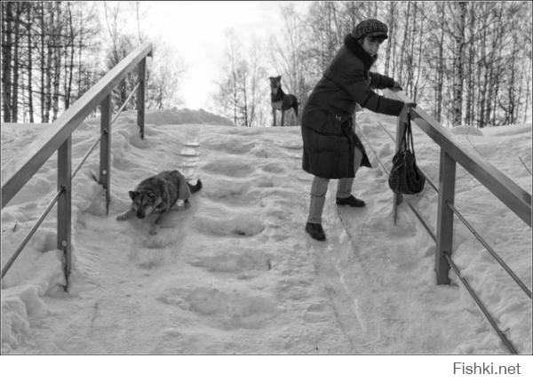 Уже скоро, на всех лестницах страны...