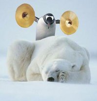 А вообще, эти сорванцы-ещё те тролли!..
