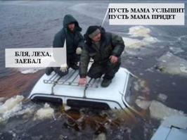 Подборка автоприколов. Часть 142