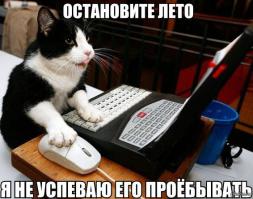 Лето в России  