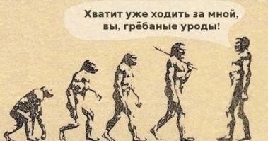 Эволюция в смешных картинках