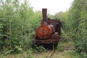 Когда природа побеждает цивилизацию