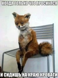 Картинки со смешными подписями