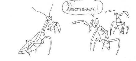 Забавные иллюстрации  