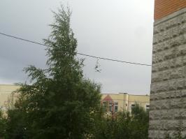 Это Бутово, сынок)