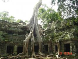 индия брошенный храм..