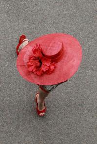 Фишкина солянка за 17.11.2014