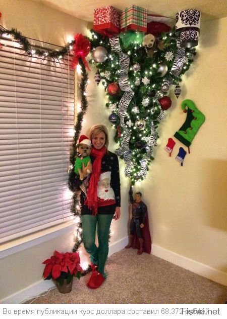 вот ещё вариант для владельцев собак...