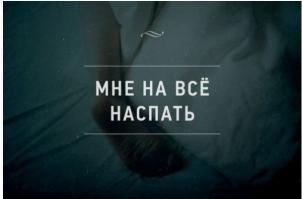 Смешные картинки с подписями 