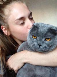 Места, которые невозможно представить без котов