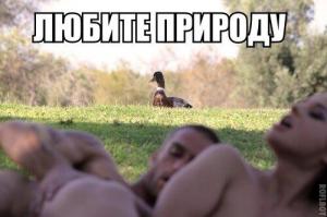 25 животных, которые обожают подсматривать