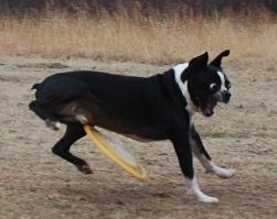 Как остановить эту жуть