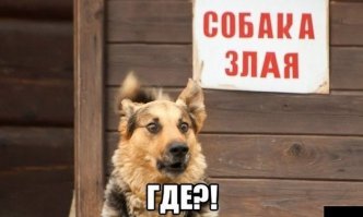 Не человеческий шок!