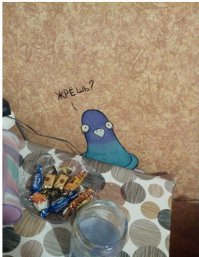 у них не было этого голубя