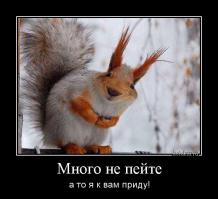 Мир не без добрых людей