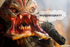 Канадец нашел в сети спутницу для кругосветного путешествия