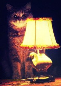 Пожалуйста