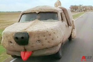 Шуба для любимой