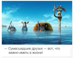 Великолепная причина купить квадрокоптер