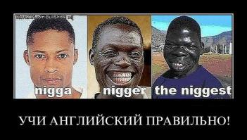 Шкала деления французов. Скоро по всей стране!