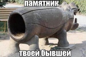 Смешные картинки с подписями