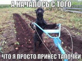 Фишкина солянка за 18.09.2014 