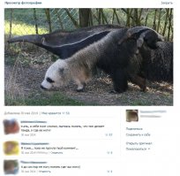 Смешные комментарии из социальных сетей 16.01.15