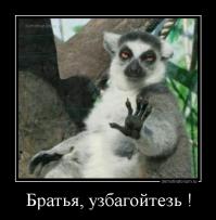 Животные в шоке