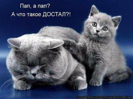 Кто-то работает, а кто-то отдыхает!