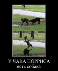 Мы не ищем легких путей 