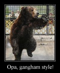 Фотографии животных за неделю