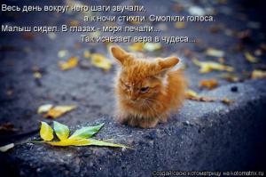 Лучшие котоматрицы недели