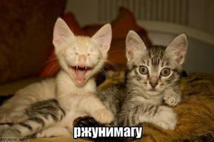 На уничтожавших коноплю полицейских напали пчёлы