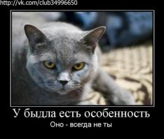 У быдла есть особенность: оно - всегда не ты! ))))