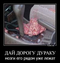 Дай дорогу дураку - он забыл положить мозги обратно )
