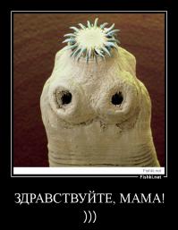 Здравствуйте, мама! )))))))))))))))