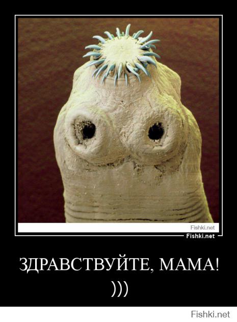 Здравствуйте, мама! )))))))))))))))