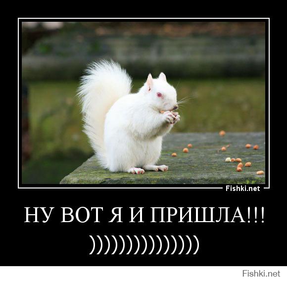 Ну вот я и пришла!!!! )))))))))))))))))