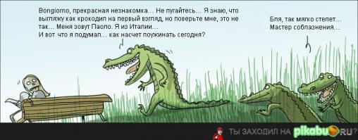 Щенок чудом спасся от крокодила