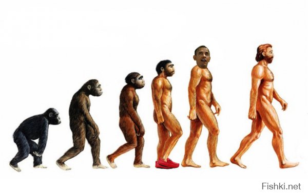 Эволюция Обамы опровергает дарвинизм