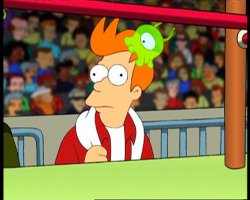 Фотоподборка за 02.02.2015