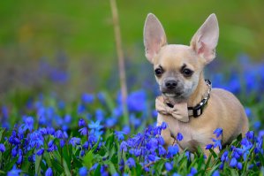 5 полезных онлайн тренажёров, для тех кто хочет научиться фотографировать 