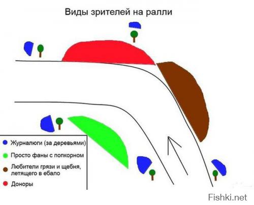 Фишкина солянка за 18.07.2014