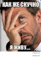 Удивительные новости городов России