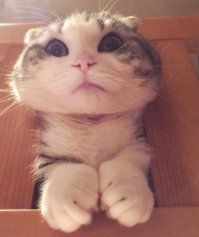 Человек, я застрял! Мне нужна твоя помощь!