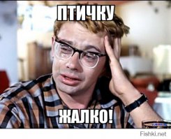Весенняя охота на уток