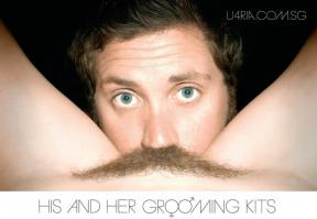 Мохнатки - они повсюду.