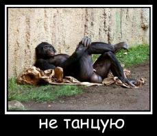 и подпись:
НЕ танцую))))