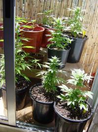 важен КПД балкона, окупаемость, полезность, выгода...