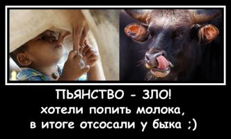 Менты ржут, суд ржёт, адвокат ржёт 